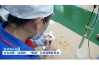 ！“可触摸的东方文明”走红海外澳门新葡京
